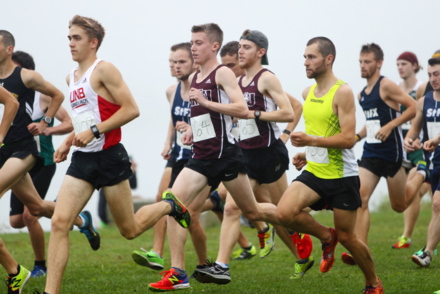 Rookie Andrew Peverill Shines at Rouge et Or Cross Country Meet