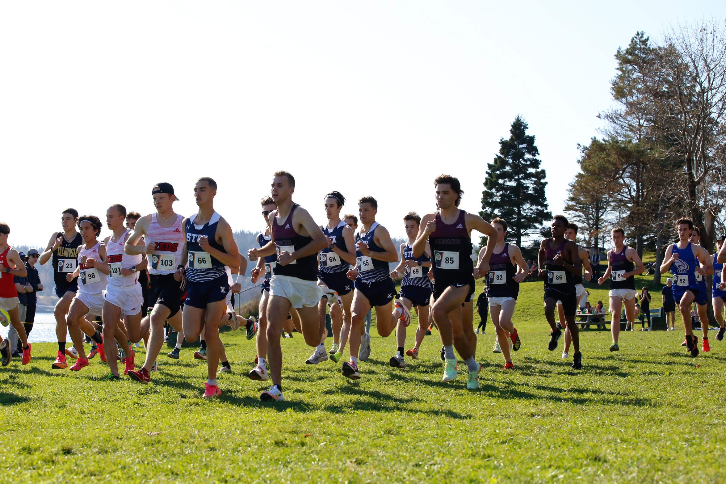 STFX X-Women and UNB REDS win AUS women’s and men’s cross country titles