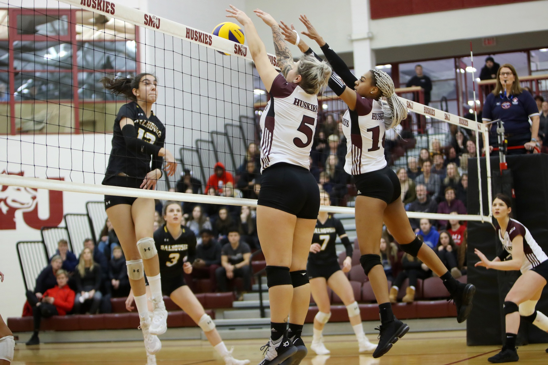 Tigers top Huskies 3-0 in volleyball action