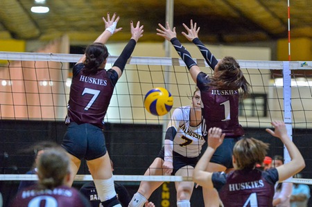 Dalhousie takes volleyball title with 2-0 series win over Saint Mary's
