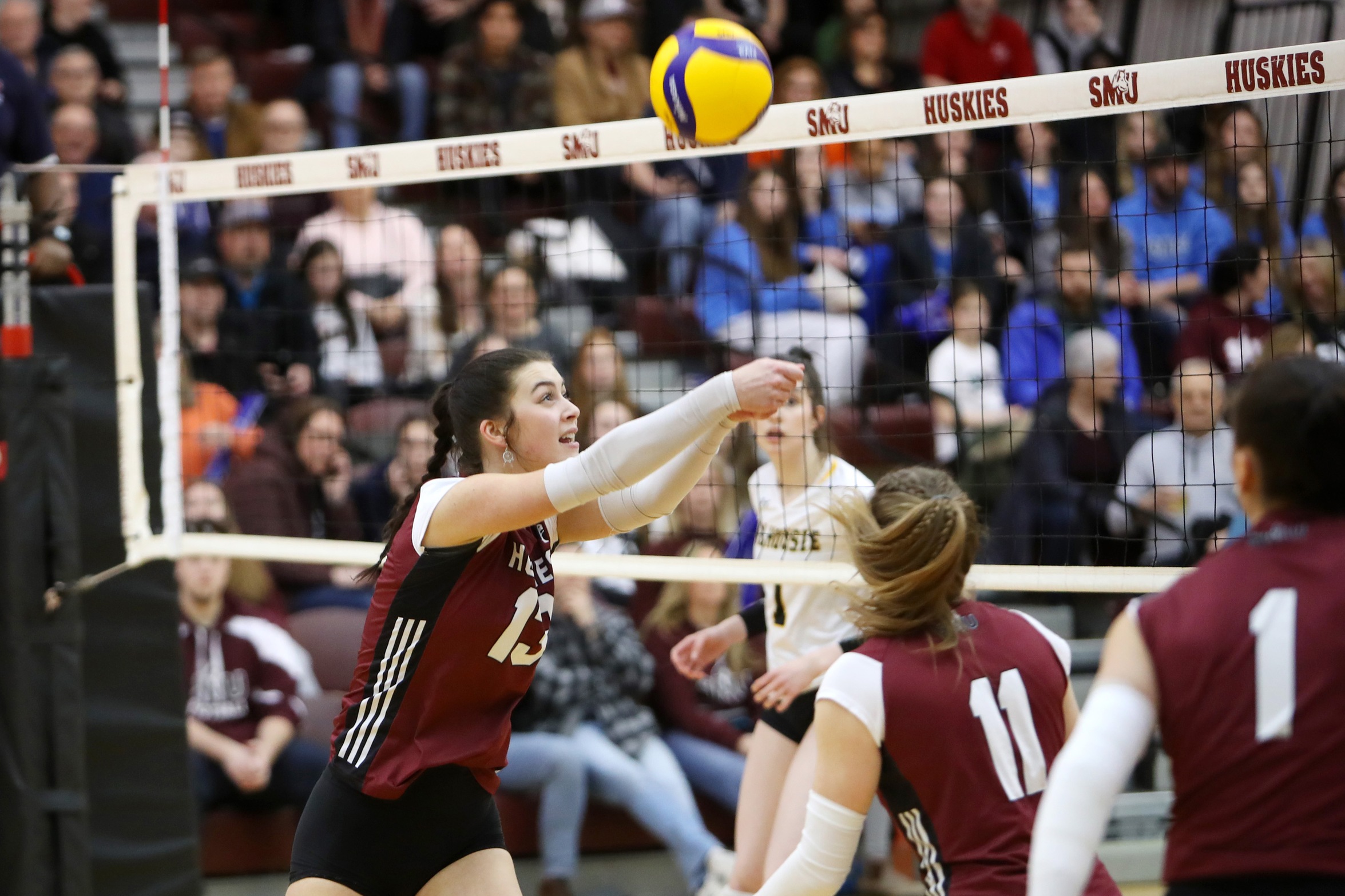 Tigers defeat Huskies in four sets to clinch top seed in AUS playoffs