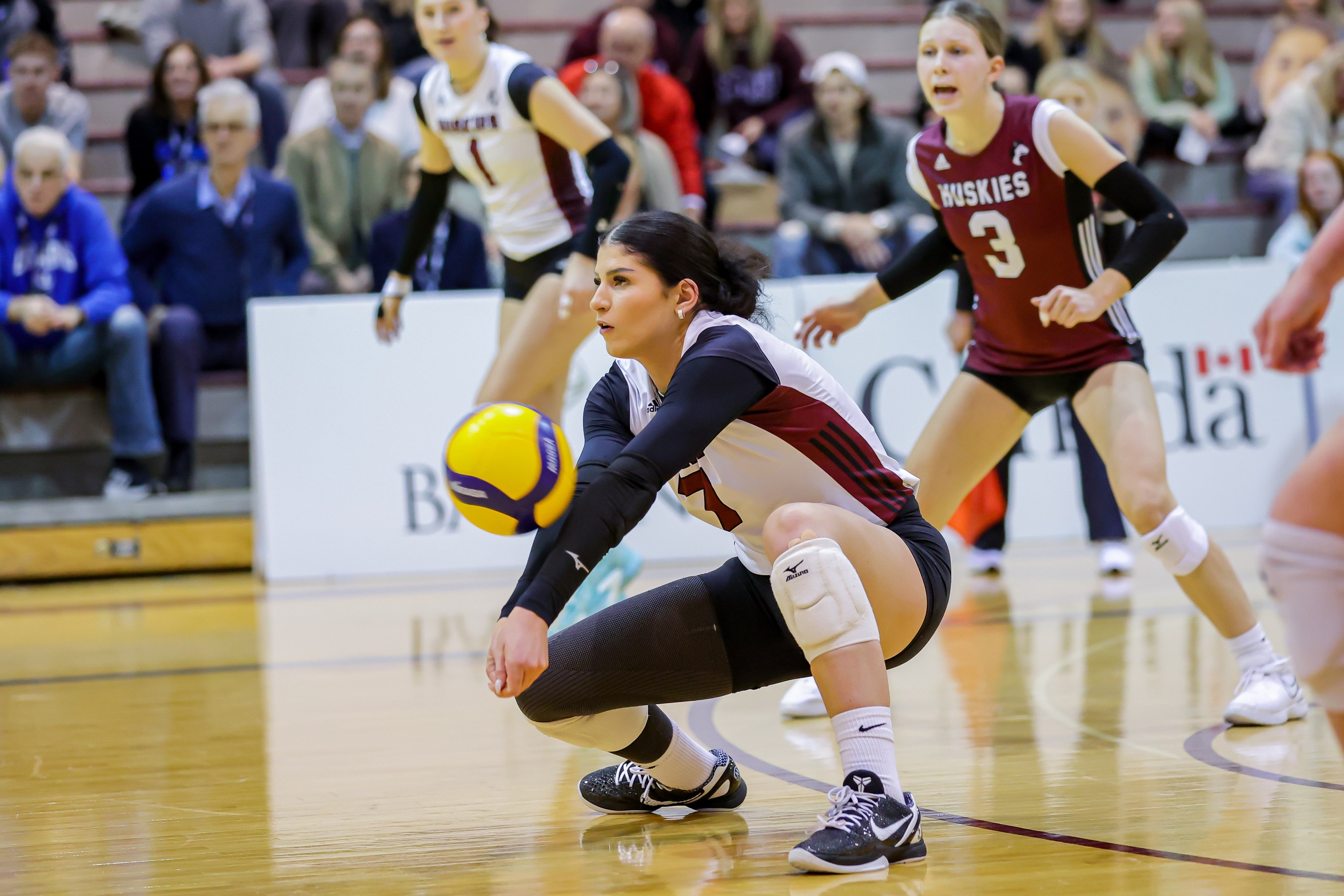 Huskies advance to consolation final with four set win over Carabins