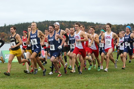 Ellen Chappell (DAL) and Scott Donald (StFX) capture first place at AUS Cross Country Championships